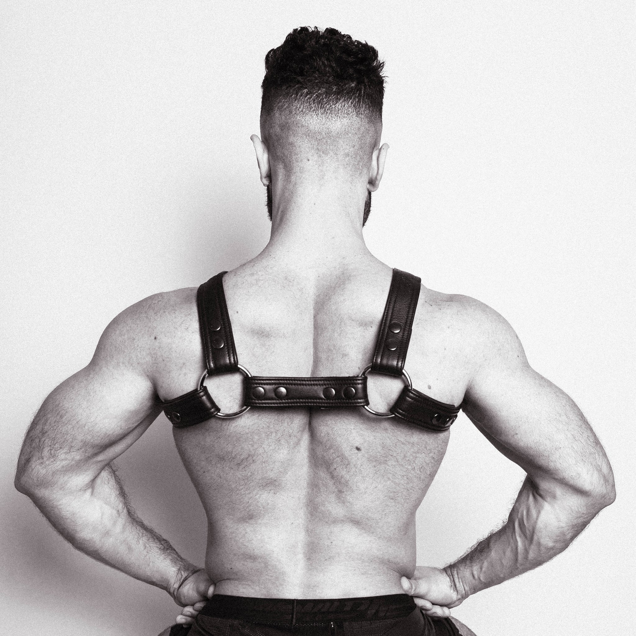 Butch Harness