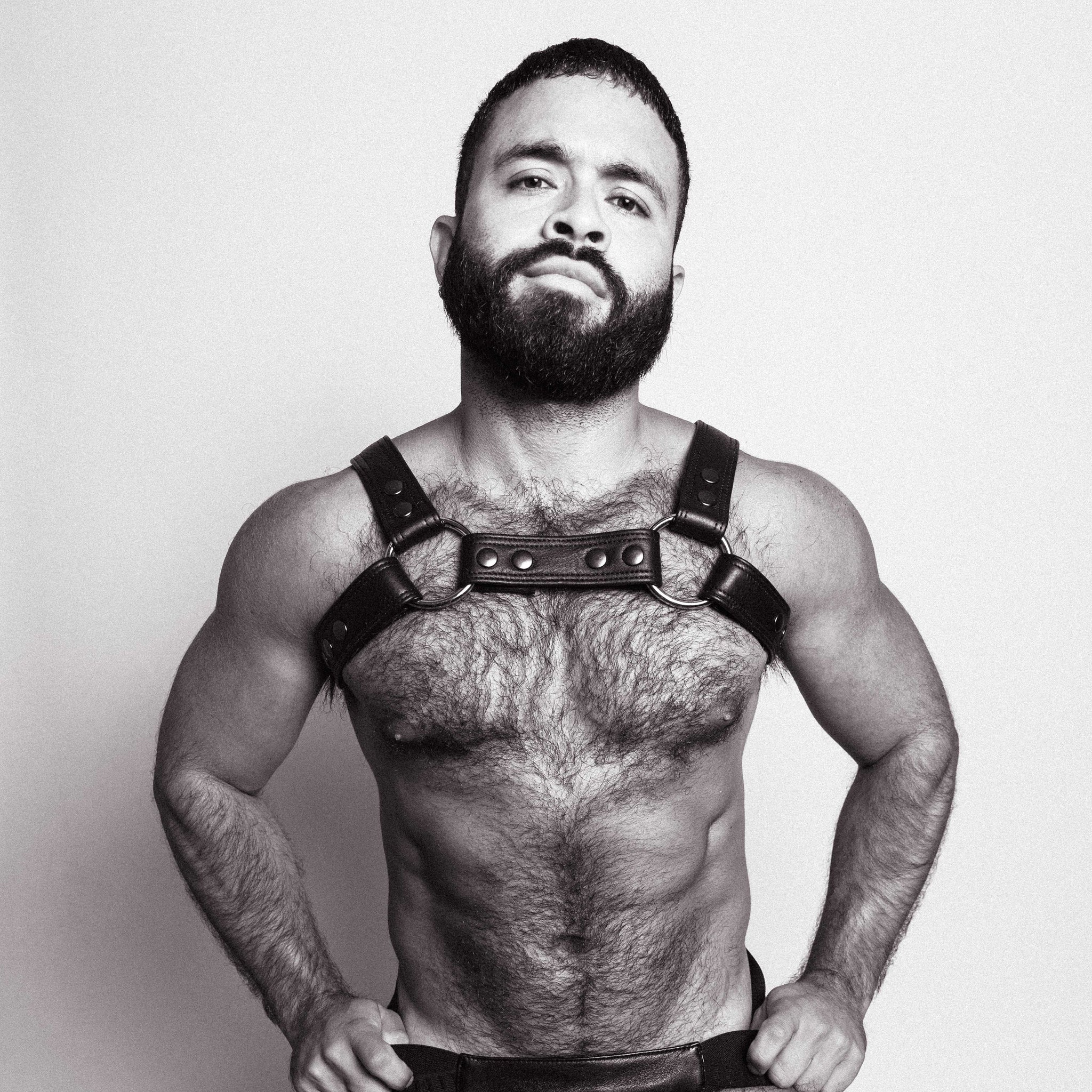 Poser Harness