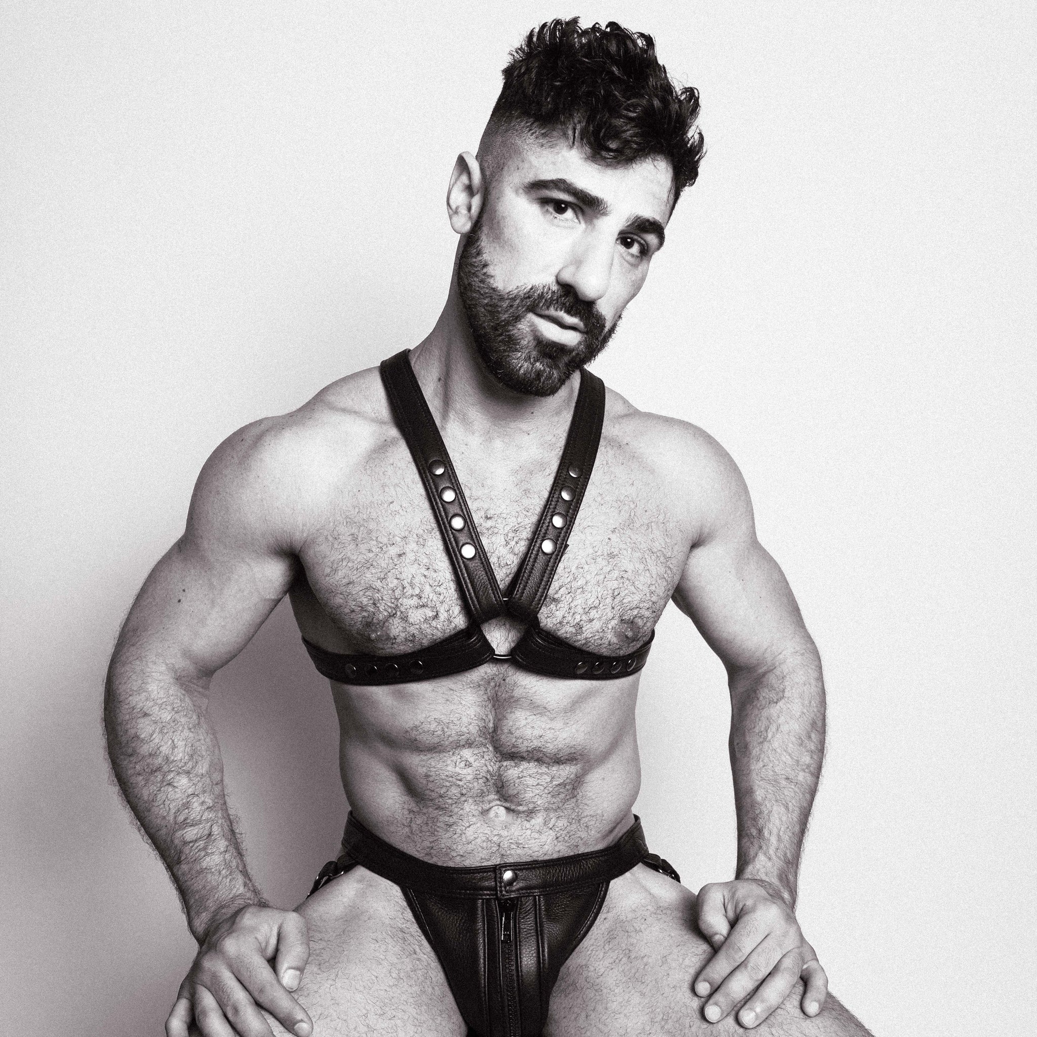 HerculeX Harness