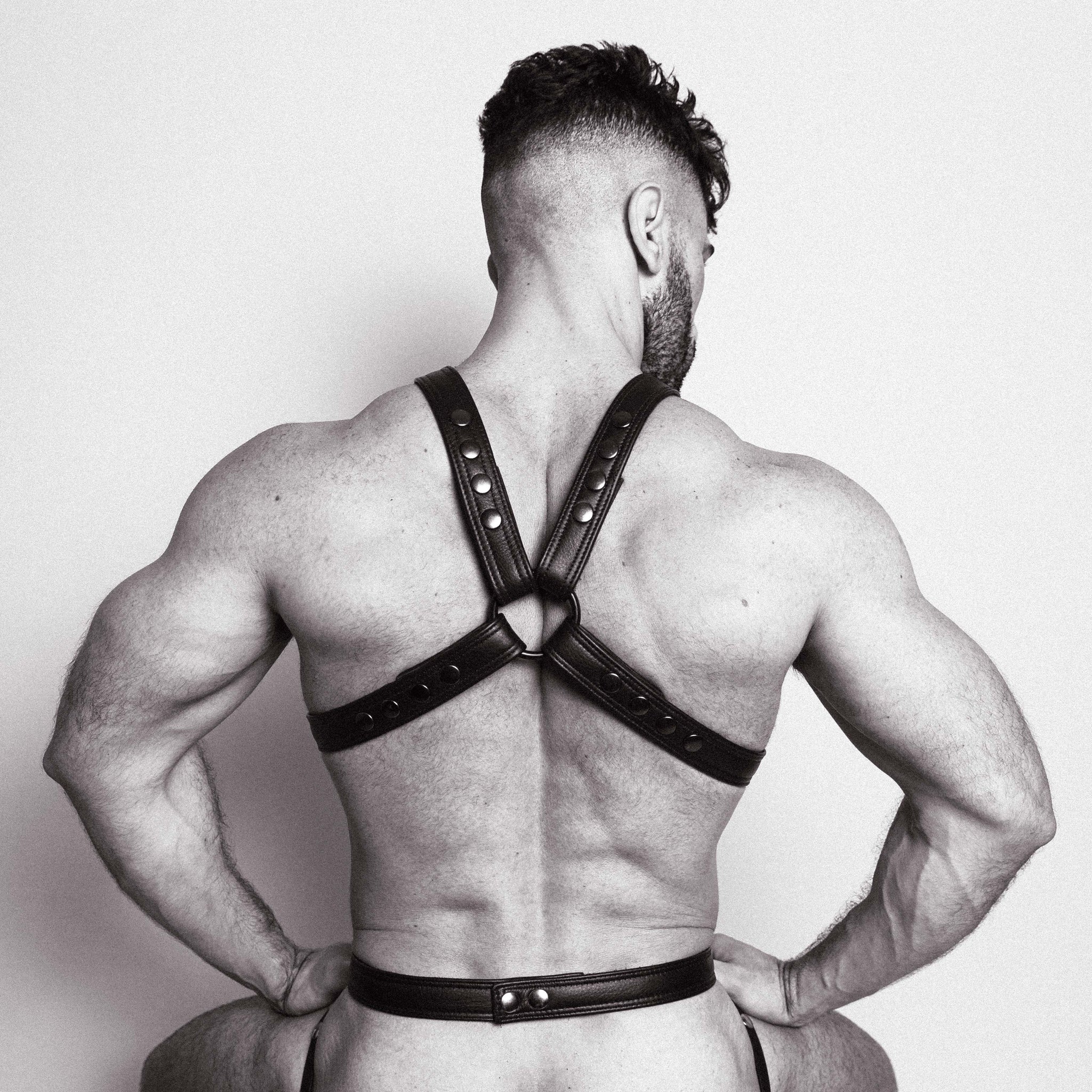 HerculeX Harness